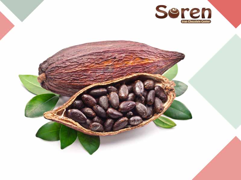 دانه خام کاکائو
