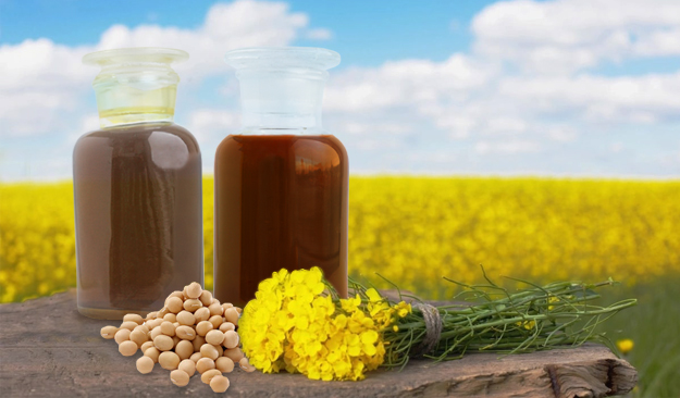 پخش کنندگان لسیتین خوراکی