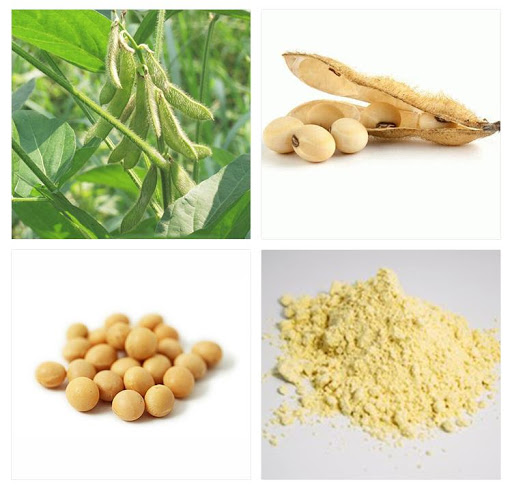 لسیتین وارداتی