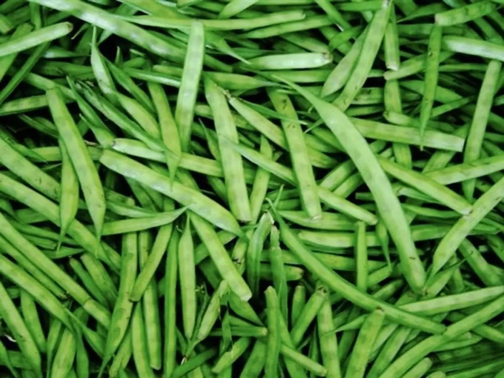 خرید گوارگام در تهران